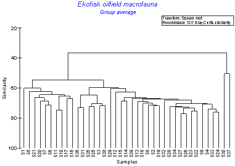 cluster.png (4787 bytes)